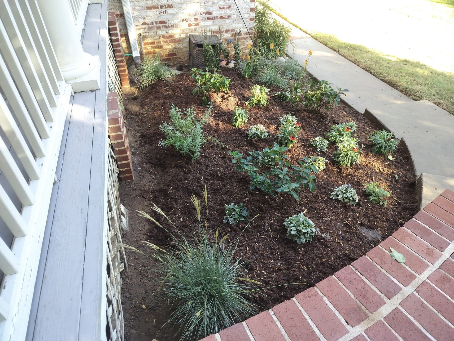 Garden Oasis with Stone Path Installation