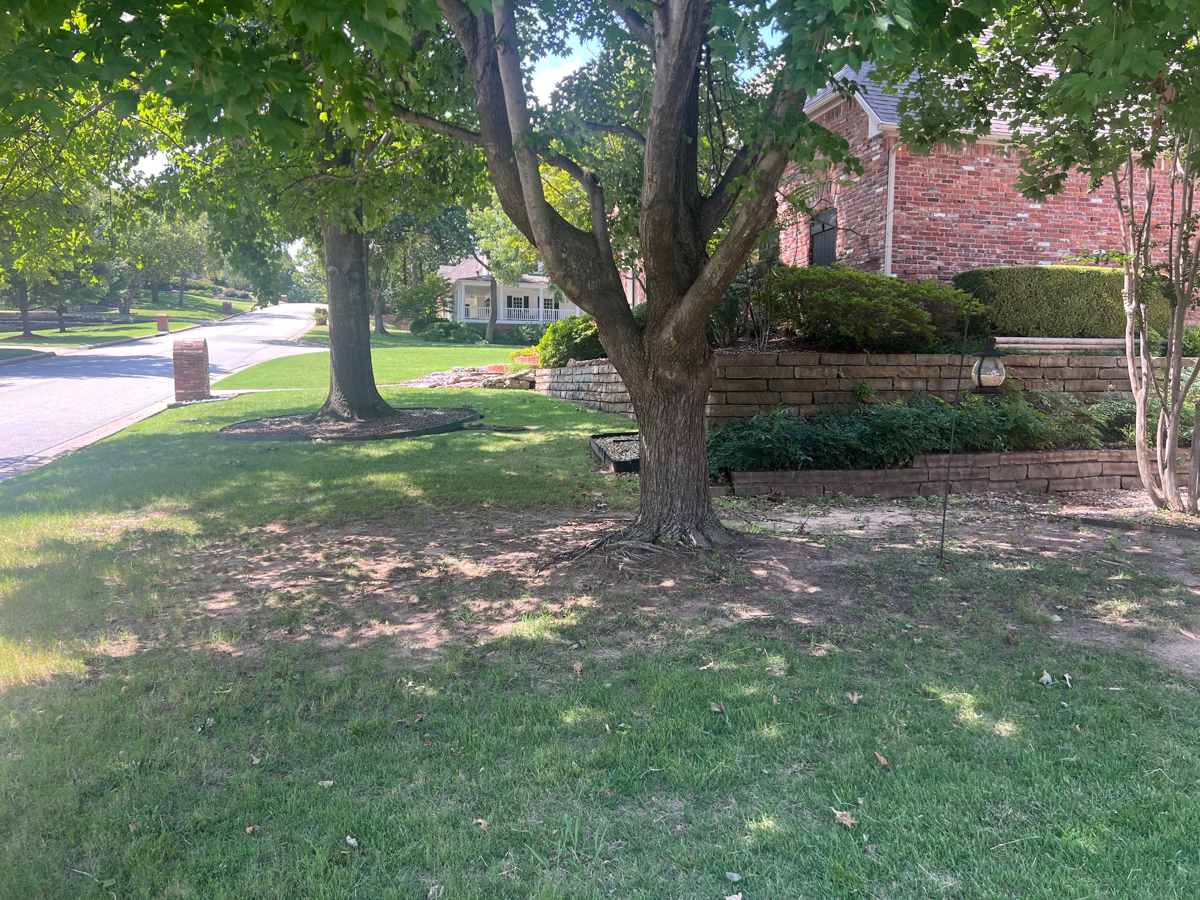 Project Garden Oasis with Stone Path Installation image