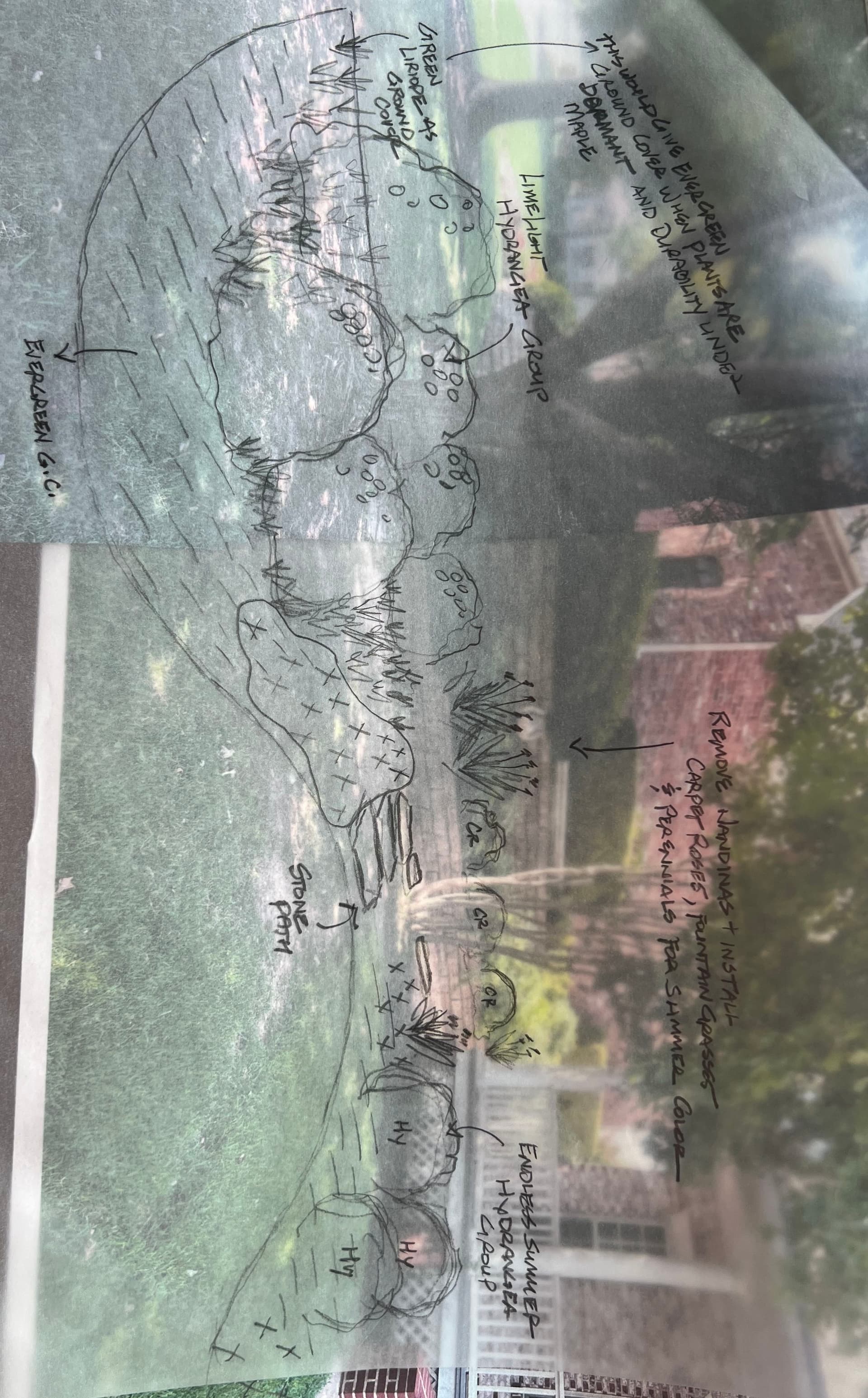 Garden Oasis with Stone Path Installation