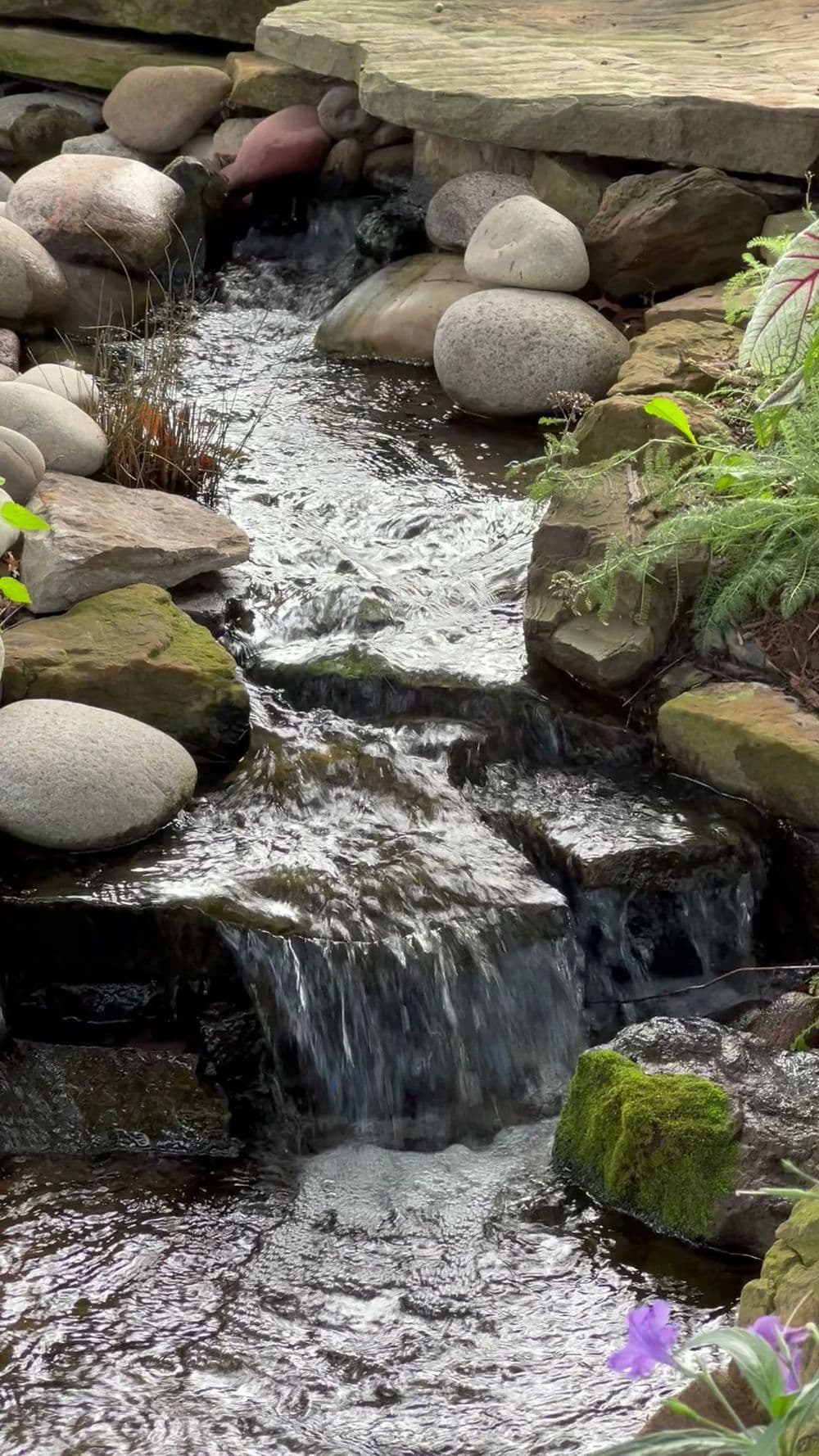 Tranquil stream with flowing water, smooth stones, and lush greenery in a garden setting.