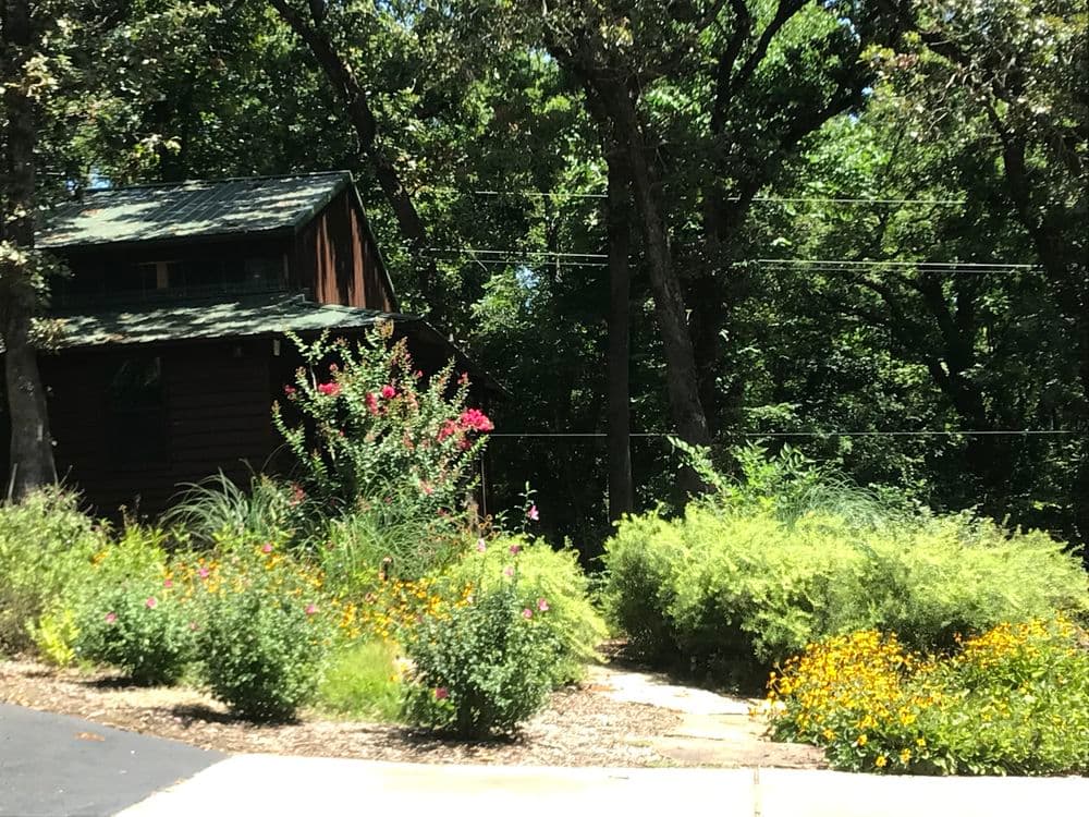 Charming wooden cabin surrounded by vibrant flowering plants and lush greenery.