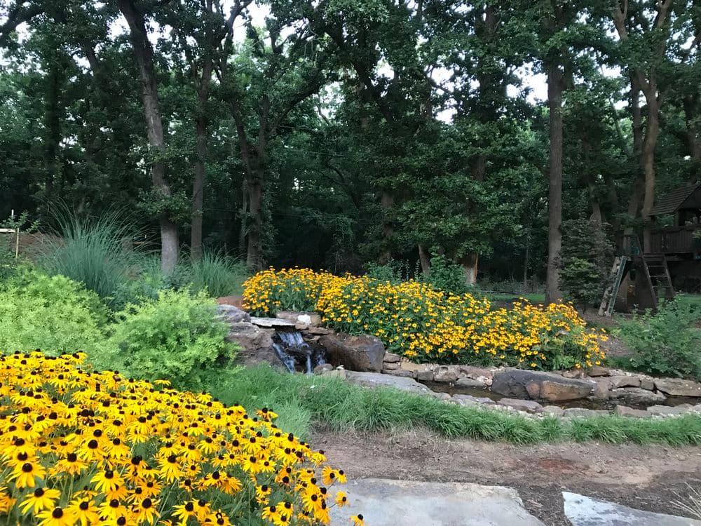 Vibrant yellow flowers in a serene garden with a small waterfall surrounded by trees.