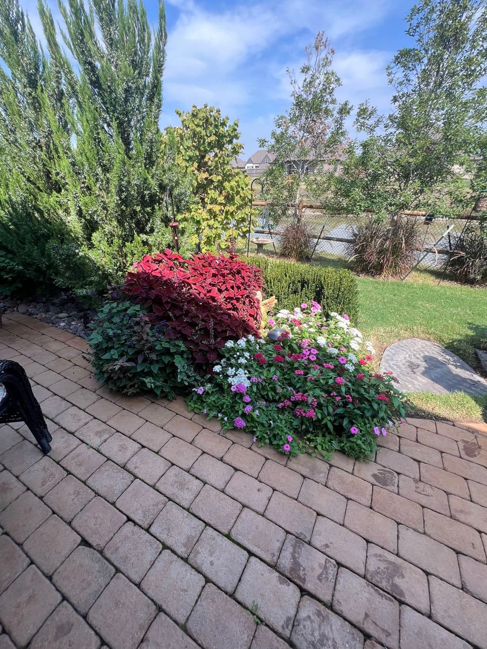 Colorful garden with red foliage and blooming flowers alongside a stone pathway and greenery.