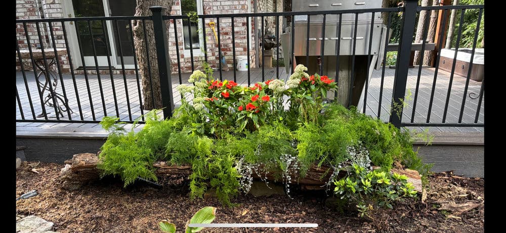 vibrant flower garden with red blooms and lush greenery in a rustic wood planter