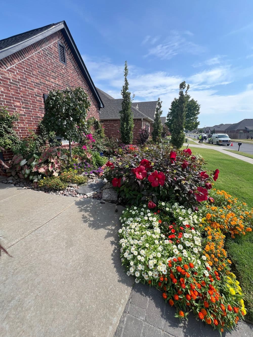 Vibrant flower garden with colorful blooms and brick house in sunny neighborhood setting.
